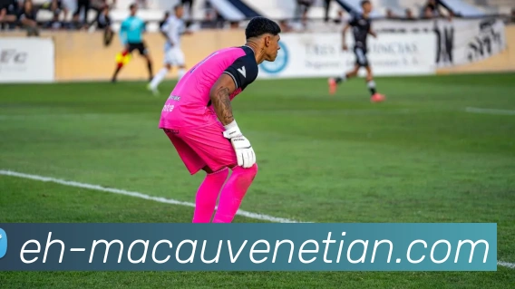 App Interface Preview